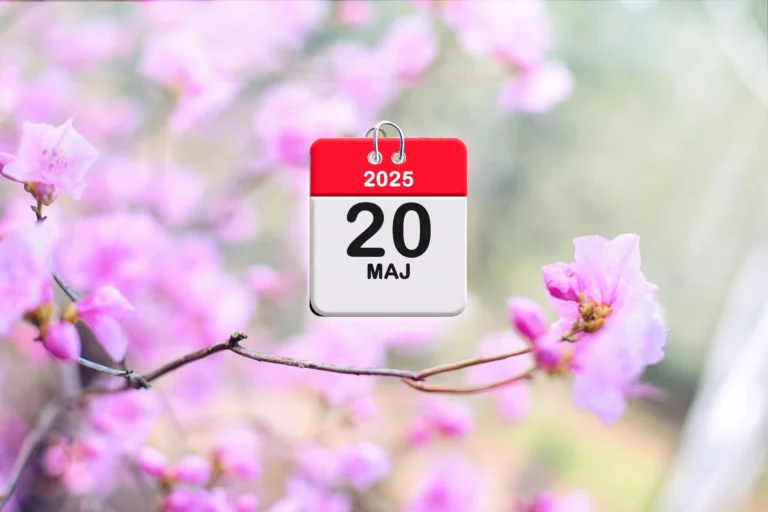 📢 Roczne rozliczenie składki zdrowotnej w ZUS za 2024